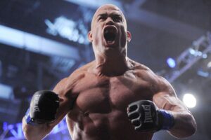 бойцы UFC